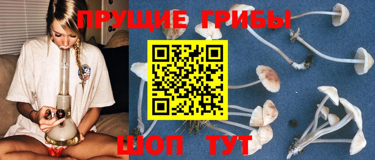 где найти наркотики  Галлюциногенные грибы Cubensis  Вход с VPN  Белорецк 